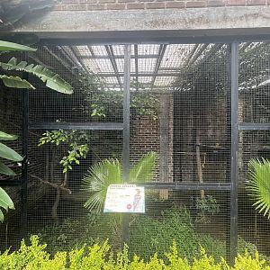 eurasian hoopoe exhibit