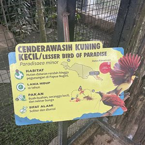 lesser bird-of-paradise signage