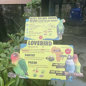 lovebird & great-billed parrot signage