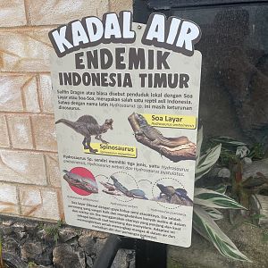 sailfin dragon info signage