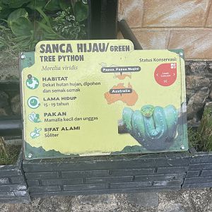 green tree phyton signage