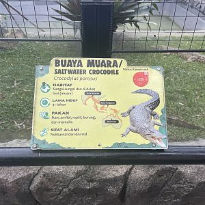 saltwater crocodile signage (1)