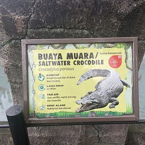 saltwater crocodile signage (2)