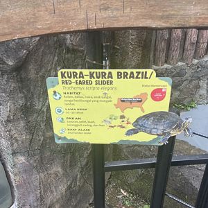red-eared slider signage