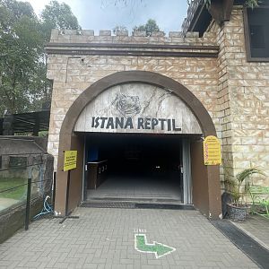 istana reptil