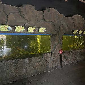 istana reptil - megatank