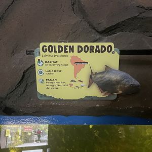 istana reptil - golden dorado signage
