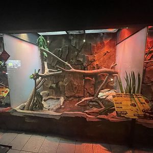 istana reptil - reticulated phyton exhibit