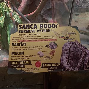 istana reptil - burmese phyton signage
