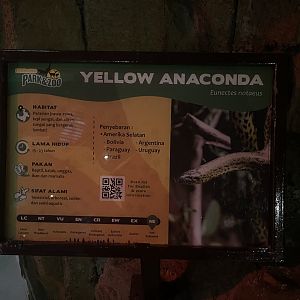istana reptil - yellow anaconda signage
