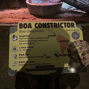 istana reptil - boa constrictor signage