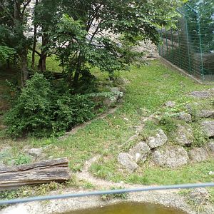 Jaguar enclosure 13.7.25