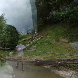 Jaguar enclosure 13.7.25