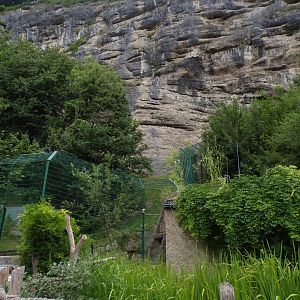View of huge rock face behind Jaguar enclosure 13.7.25