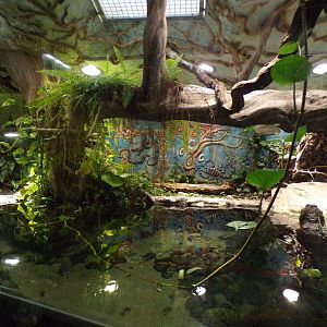 Mixed exhibit 13.7.25