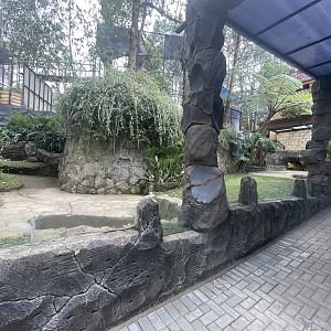 african spurred tortoise exhibit