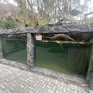 new reptile exhibit (1)