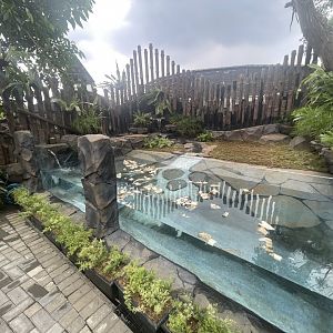 new reptile exhibit (2)