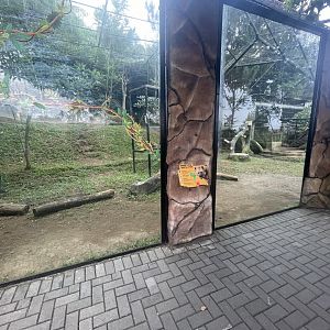 spotted hyena exhibit