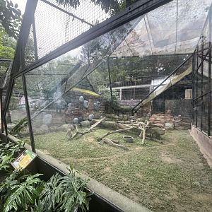 serval exhibit