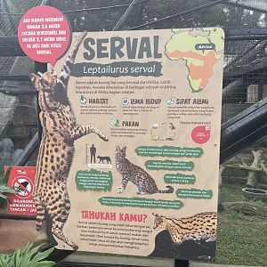 serval signage