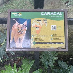caracal signage (1)