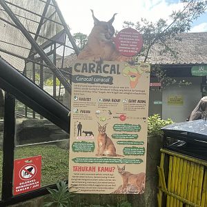 caracal signage (2)