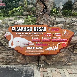 greater flamingo signage