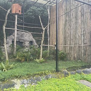 kampung satwa - wrinkled hornbill exhibit
