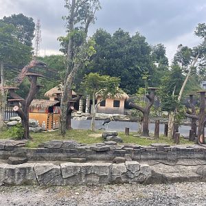 kampung satwa - marsh birds exhibit