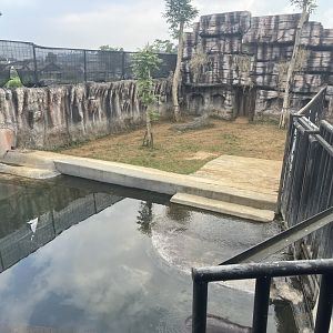 kampung satwa - pygmy hippopotamus exhibit