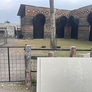 kampung satwa - red kangaroo exhibit