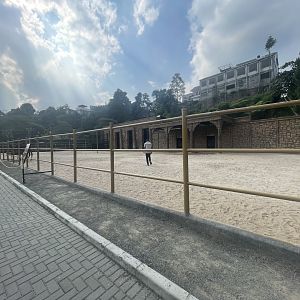 dromedary camel exhibit
