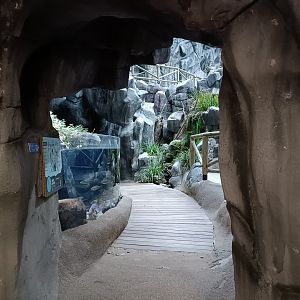 Entrance of aquarium - Bioparc Acuario de Gijón