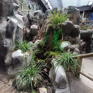 General view - Bioparc Acuario de Gijón