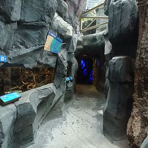 General view - Bioparc Acuario de Gijón