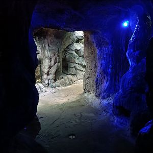 Cove - Bioparc Acuario de Gijón