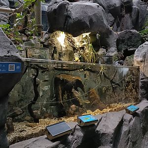 Invasor species exhibit - Bioparc Acuario de Gijón