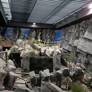 Europe river zone - Bioparc Acuario de Gijón