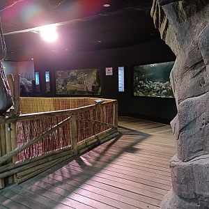 General view - Bioparc Acuario de Gijón