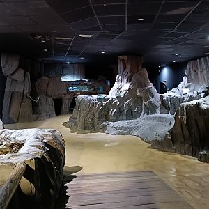 General view - Bioparc Acuario de Gijón