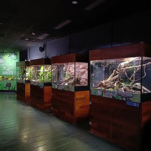 Reptile general view - Bioparc Acuario de Gijón