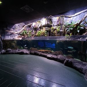 Amazon river exhibit - Bioparc Acuario de Gijón