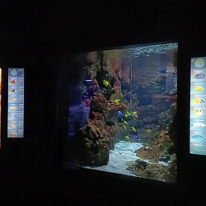 Indo-Pacific exhibit - Bioparc Acuario de Gijón