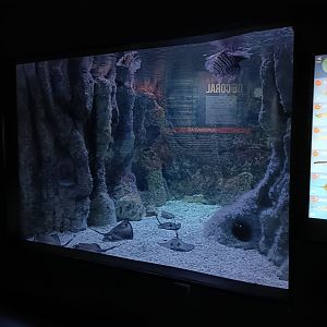 Indo-Pacific exhibit - Bioparc Acuario de Gijón