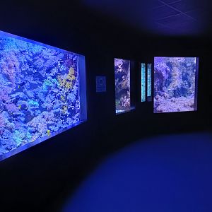 General view - Bioparc Acuario de Gijón