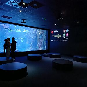Oceanarium exhibit - Bioparc Acuario de Gijón