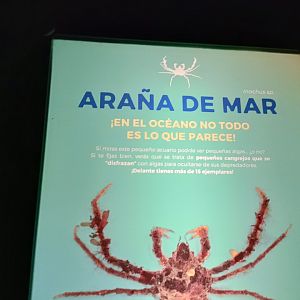 Sign - Bioparc Acuario de Gijón