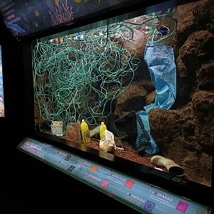 Educational exhibit- Bioparc Acuario de Gijón