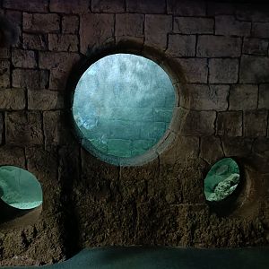 Wharf exhibit - Bioparc Acuario de Gijón